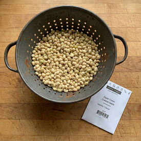 Zipper Cream, Cowpea Seeds